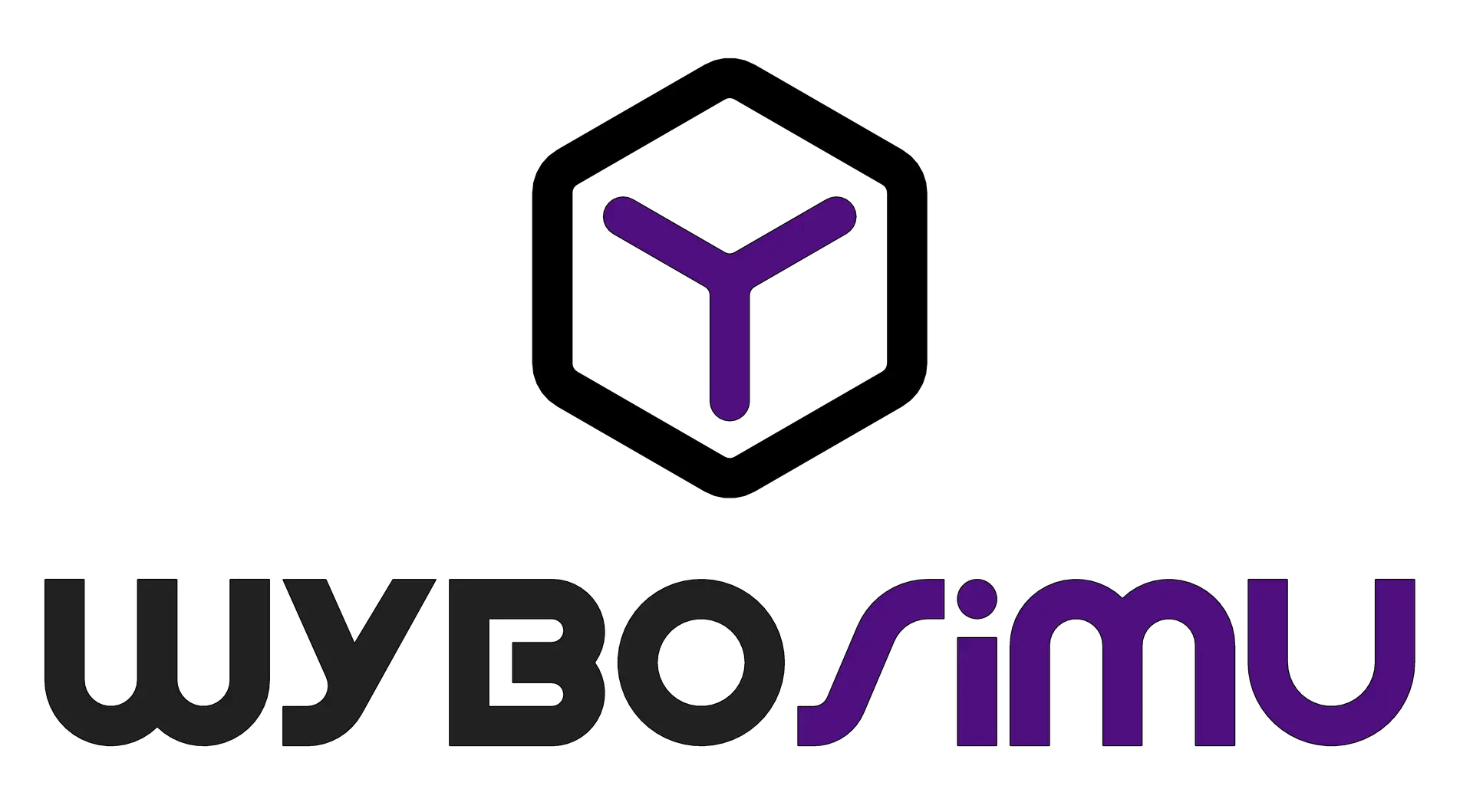 WYBOSimu